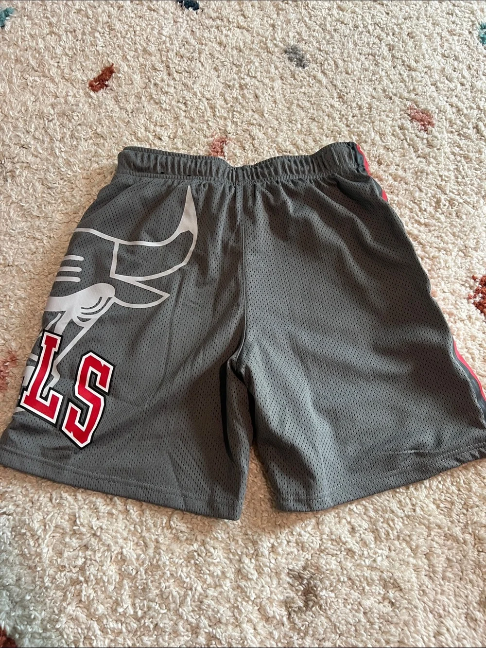 NBA Chicago Bulls Gray and Red Mesh Basketball Shorts